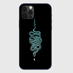 Чехол для iPhone 12 Pro Вьющаяся змея, цвет: 3D-черный