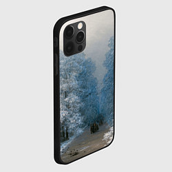 Чехол для iPhone 12 Pro Зимний пейзаж картина маслом, цвет: 3D-черный — фото 2