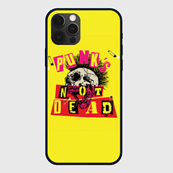 Чехол для iPhone 12 Pro Punks Not Dead - Панки Хой!, цвет: 3D-черный
