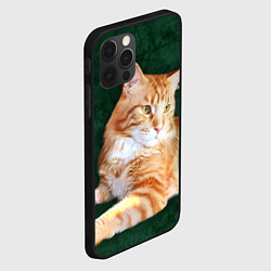 Чехол для iPhone 12 Pro Мейн кун рыжий кот, цвет: 3D-черный — фото 2