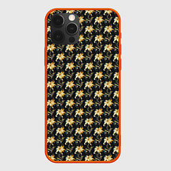 Чехол для iPhone 12 Pro Classic pattern, цвет: 3D-красный