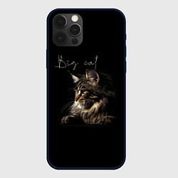 Чехол для iPhone 12 Pro Big cat Maine Coon, цвет: 3D-черный