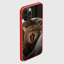 Чехол для iPhone 12 Pro Эх, поспать бы! Зевающий котяра, цвет: 3D-красный — фото 2