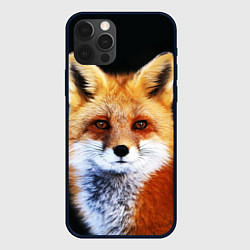 Чехол для iPhone 12 Pro Лиса рыжулька, цвет: 3D-черный