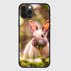 Чехол для iPhone 12 Pro Милый кролик, цвет: 3D-черный