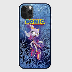 Чехол для iPhone 12 Pro Blaze the Cat - Mario & Sonic Rio 2016 Olimpic Gam, цвет: 3D-черный