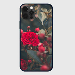 Чехол для iPhone 12 Pro Красная дикая роза, цвет: 3D-черный