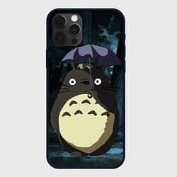 Чехол для iPhone 12 Pro Totoro in rain forest, цвет: 3D-черный