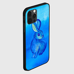Чехол для iPhone 12 Pro Водяной кролик символ 2023, цвет: 3D-черный — фото 2