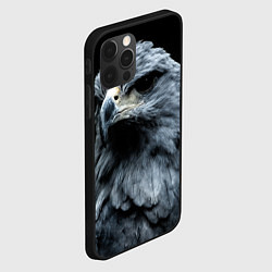 Чехол для iPhone 12 Pro Oрёл, цвет: 3D-черный — фото 2