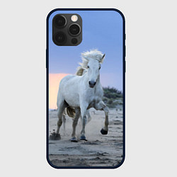 Чехол для iPhone 12 Pro Белый конь, цвет: 3D-черный