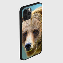 Чехол для iPhone 12 Pro Русский бурый медведь, цвет: 3D-черный — фото 2