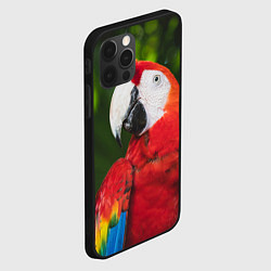 Чехол для iPhone 12 Pro Красный попугай Ара, цвет: 3D-черный — фото 2