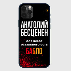 Чехол iPhone 12 Pro Анатолий бесценен, а для всего остального есть ден