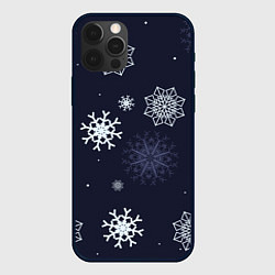 Чехол для iPhone 12 Pro Снежная ночь, цвет: 3D-черный