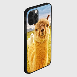 Чехол для iPhone 12 Pro Ламы - я и друг, найди меня, цвет: 3D-черный — фото 2
