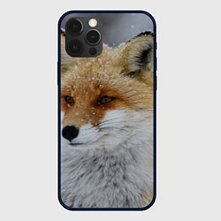 Чехол для iPhone 12 Pro Лис зимой, цвет: 3D-черный
