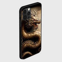Чехол для iPhone 12 Pro Китайский дракон с открытой пастью, цвет: 3D-черный — фото 2