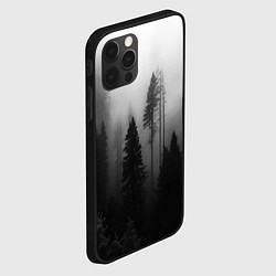 Чехол для iPhone 12 Pro Красивый лес и туман, цвет: 3D-черный — фото 2