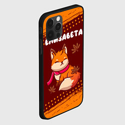 Чехол для iPhone 12 Pro Елизавета осенняя лисичка, цвет: 3D-черный — фото 2
