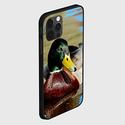 Чехол для iPhone 12 Pro Утка Кряква - селезень, цвет: 3D-черный — фото 2