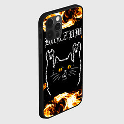 Чехол для iPhone 12 Pro Burzum рок кот и огонь, цвет: 3D-черный — фото 2