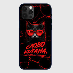 Чехол для iPhone 12 Pro Слово котана - шерсть на одежде, цвет: 3D-черный