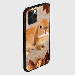 Чехол для iPhone 12 Pro Рыжий кролик, цвет: 3D-черный — фото 2