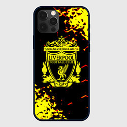 Чехол для iPhone 12 Pro Liverpool жёлтые краски текстура, цвет: 3D-черный