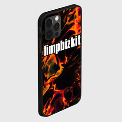Чехол для iPhone 12 Pro Limp Bizkit red lava, цвет: 3D-черный — фото 2