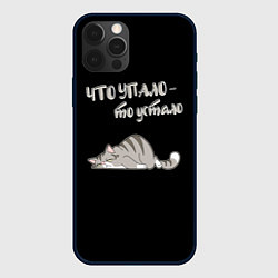 Чехол для iPhone 12 Pro Что упало то устало, цвет: 3D-черный