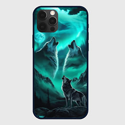 Чехол для iPhone 12 Pro Волки воют на луну и северное сияние, цвет: 3D-черный