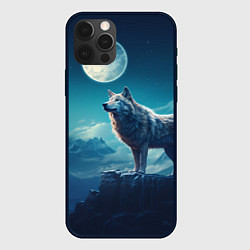 Чехол для iPhone 12 Pro Волк на фоне луны, цвет: 3D-черный