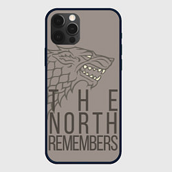 Чехол для iPhone 12 Pro The North Remembers game of thrones, цвет: 3D-черный