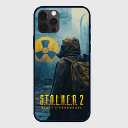 Чехол для iPhone 12 Pro Stalker 2 зараженная зона, цвет: 3D-черный