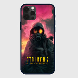 Чехол для iPhone 12 Pro Stalker 2 горящий атомный завод, цвет: 3D-черный