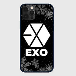 Чехол для iPhone 12 Pro Снежный Exo, цвет: 3D-черный