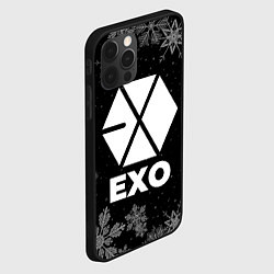 Чехол для iPhone 12 Pro Снежный Exo, цвет: 3D-черный — фото 2