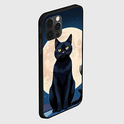 Чехол для iPhone 12 Pro Кот с вином под луной, цвет: 3D-черный — фото 2
