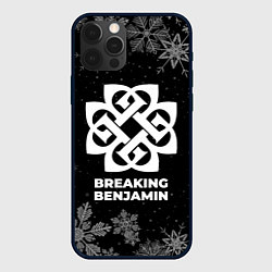 Чехол для iPhone 12 Pro Снежный Breaking Benjamin, цвет: 3D-черный