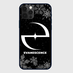 Чехол для iPhone 12 Pro Снежный Evanescence, цвет: 3D-черный