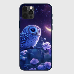 Чехол для iPhone 12 Pro Сова и ночное небо, цвет: 3D-черный