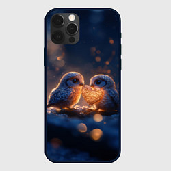 Чехол для iPhone 12 Pro Милые влюбленные совушки, цвет: 3D-черный