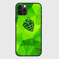 Чехол для iPhone 12 Pro Green Day green poly, цвет: 3D-черный