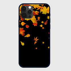 Чехол для iPhone 12 Pro Осенние листья на черном, цвет: 3D-черный