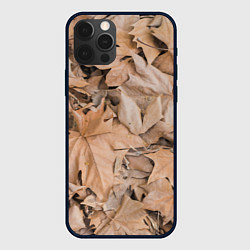Чехол для iPhone 12 Pro Осенние сухие светлые листья, цвет: 3D-черный