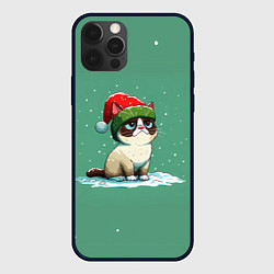 Чехол для iPhone 12 Pro Новогодний мем котик, цвет: 3D-черный