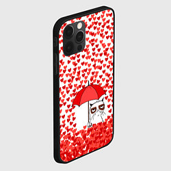 Чехол для iPhone 12 Pro Сердцепад и сердитый кот, цвет: 3D-черный — фото 2