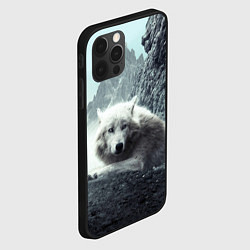 Чехол для iPhone 12 Pro Волк в горах, цвет: 3D-черный — фото 2