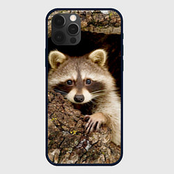 Чехол для iPhone 12 Pro Енот в дупле, цвет: 3D-черный